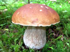 0400t338-c912-139x104.png