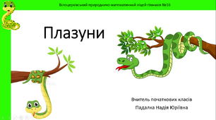 Презентація на тему ''ПЛАЗУНИ''