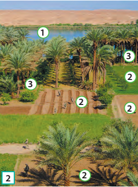 0400t6vx-f15d-271x367.png
