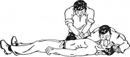 0400t9k1-0892-447x196.jpg