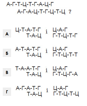0400ta7p-297a-282x344.png