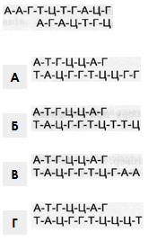 0400ta7u-f953-175x278.png
