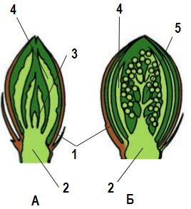0400tchm-7c53-268x293.png