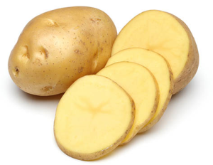 2010 10 o.png