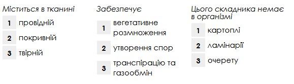 0400tdyc-f619-579x167.png