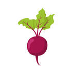 Beet Cartoon Images – Browse 10,824 Stock Photos, Vectors, and Video | Adobe Stock