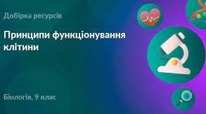 Узагальнення знань з теми "Принципи функціонування клітини