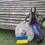 Года Зоряна Петрівна