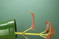 0400ti53-326a-250x167.gif