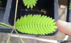 0400ti57-8abb-352x217.gif