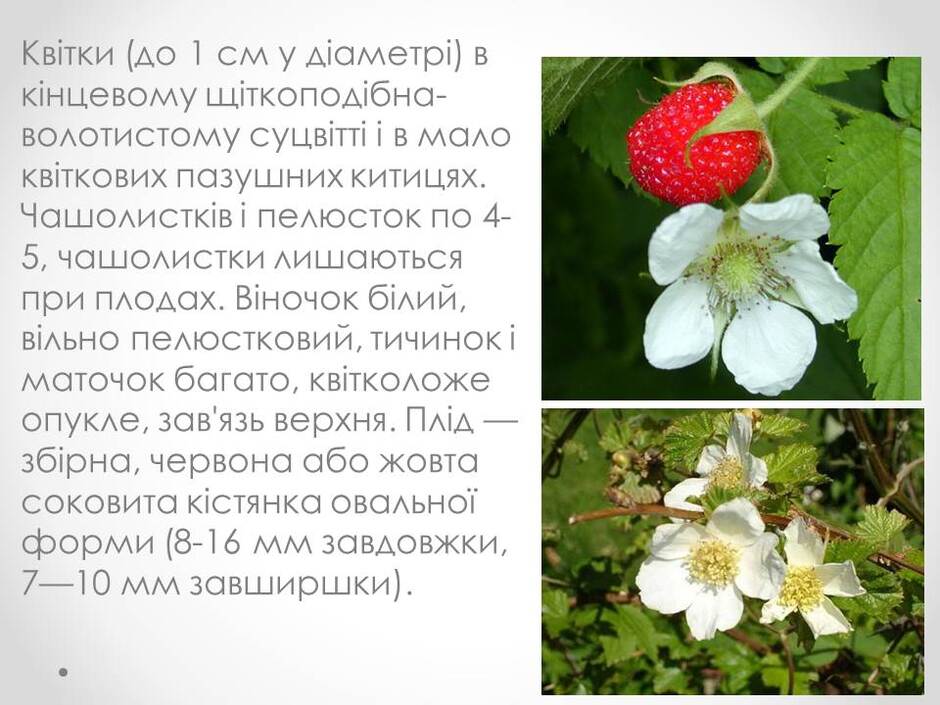 0400tk0c-a122-940x705.jpg