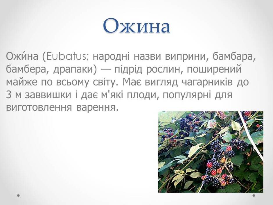 0400tk0h-42fa-940x705.jpg
