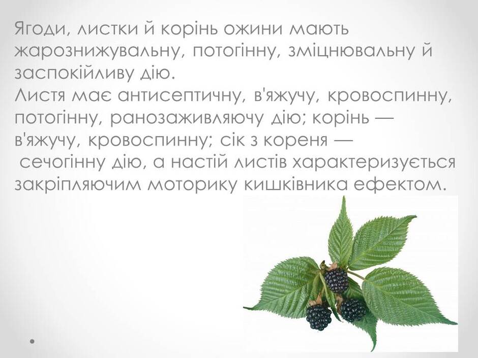 0400tk0l-cc84-940x705.jpg