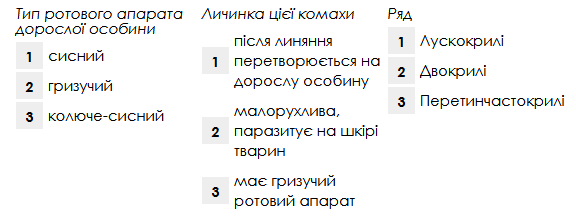 0400tkwn-63ee-576x217.png