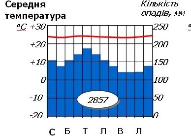 0400tled-1412-388x276.jpg