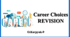 Презентація "Career Choices.  Revision"