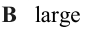 0400tnip-4a43-99x30.png