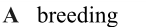 0400tnlz-8d7b-146x27.png