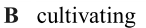 0400tnm3-fba2-146x28.png