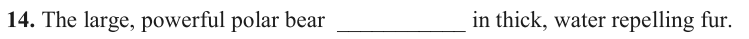 0400tnnu-811f-749x39.png