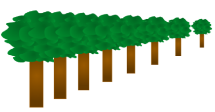 0400tpn7-4b7d-436x227.png