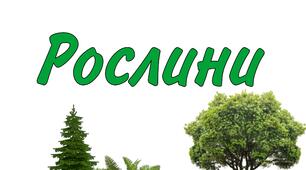 Діагностувальна робота  з ЯДС   "Рослини" 