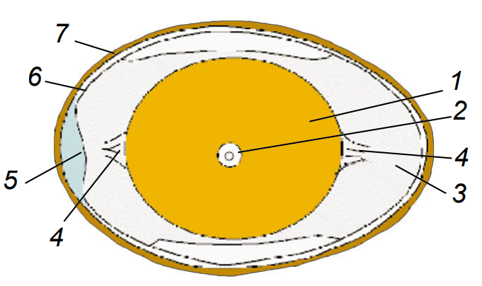0400tr6p-4c97-681x404.png