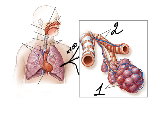 0400tuei-005b-536x388.png