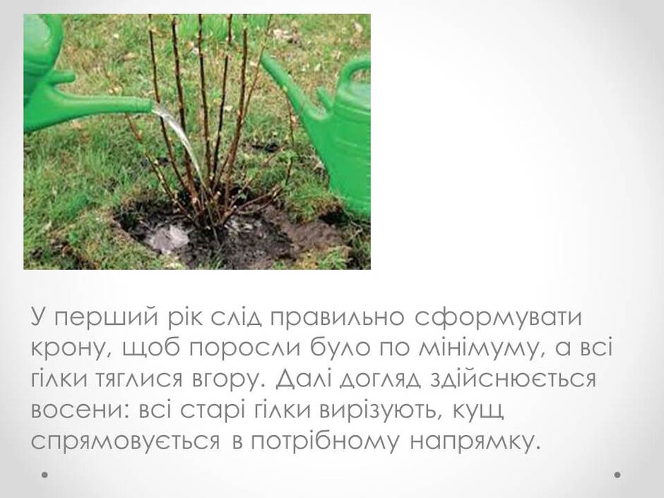 0400u8gu-1d63-940x705.jpg