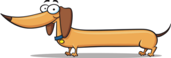 the long hor image : r/test