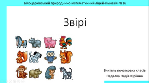 Презентація на тему ''Звірі''
