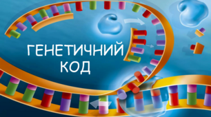 Генетичний код