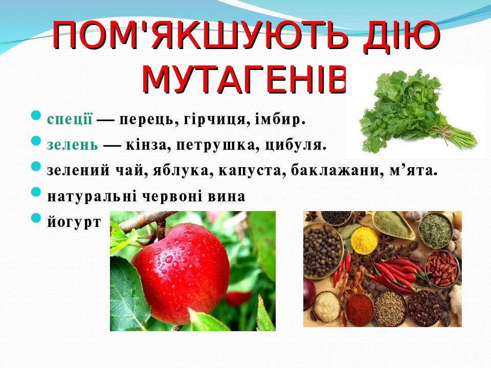 Презентація "Види мутацій. Мутагени" | Презентація. Біологія
