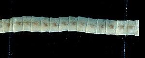 0400ukf3-3957-300x120.jpg