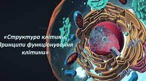 Контрольна робота № 1 "Структура клітини. Принципи функціонування клітини.