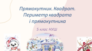 Презентація до уроку: "Прямокутник. Квадрат. Периметр квадрата і прямокутника"