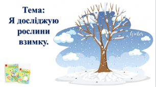 Я досліджую рослини взимку. І. О. Большакова, М. С. Пристінська. 2 клас. ІІ частина