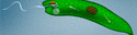 0400ut7b-8b18-125x32.gif