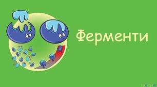 10 клас Роль ферментів у забезпеченні метаболізму клітини та цілісного організму
