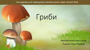 Презентація на тему 'ГРИБИ'