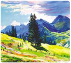 0400uw07-9536-244x217.png