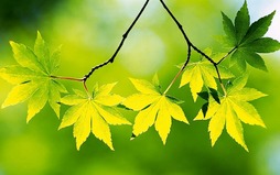 0400uw1i-0b91-254x159.jpg
