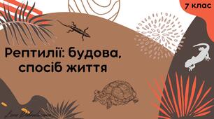 Рептилії: будова, спосіб життя