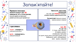 Правила вживання м’якого знака 5 клас НУШ