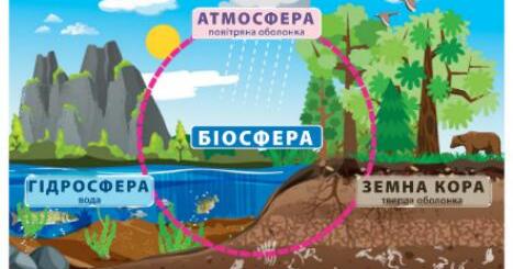 Біосфера Землі | Тест на 12 запитань. Я досліджую світ