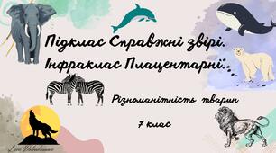 Клас Ссавці. Підклас Справжні звірі. Інфраклас Плацентарні. Різноманітність плацентарних тварин.