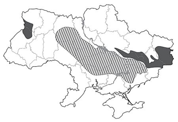 0400v26p-e7c1-703x483.png