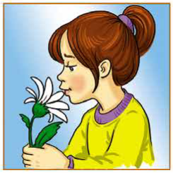 0400v2or-8e09-245x245.png