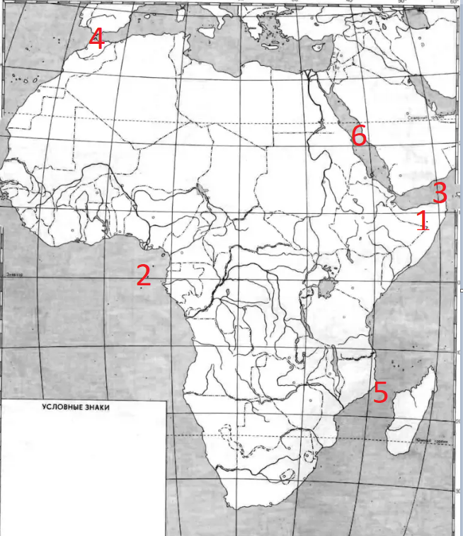 0400v9je-1e2c-654x757.png
