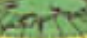 0400vcur-cb51-167x73.png